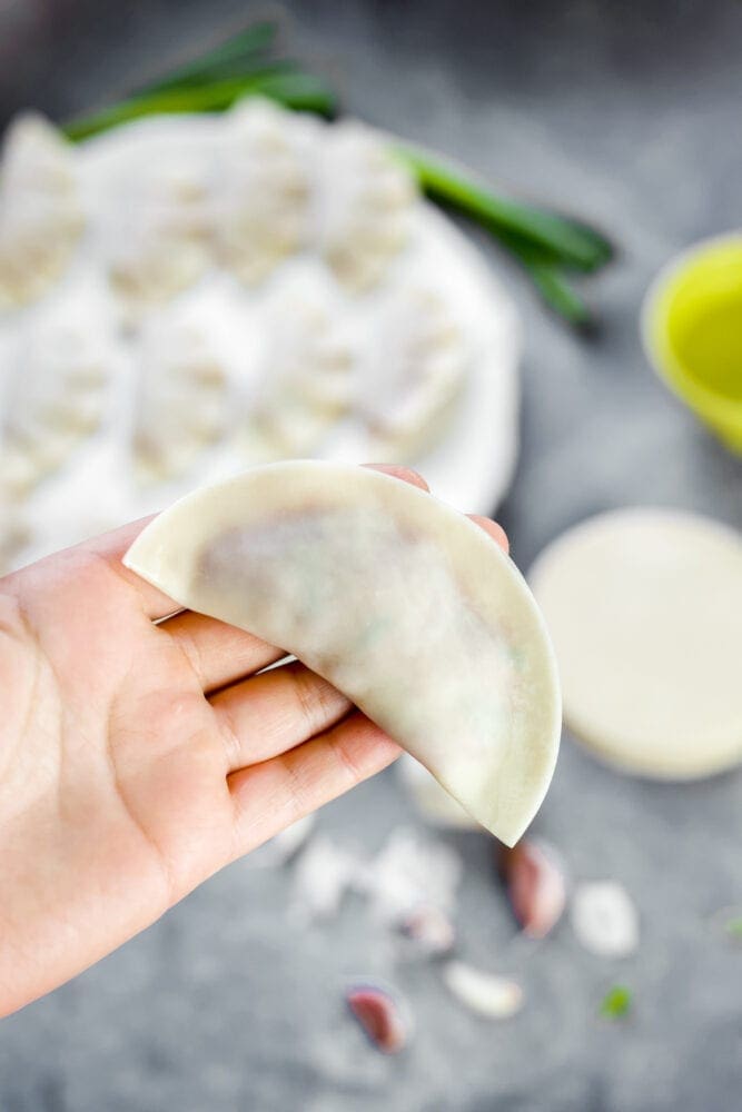 Pork Gyoza Dumplings Recipe Food Blog UK