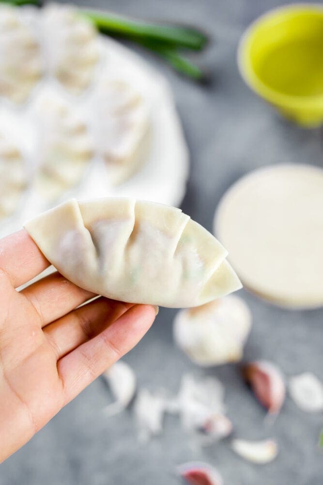 Pork Gyoza Dumplings Recipe Food Blog UK