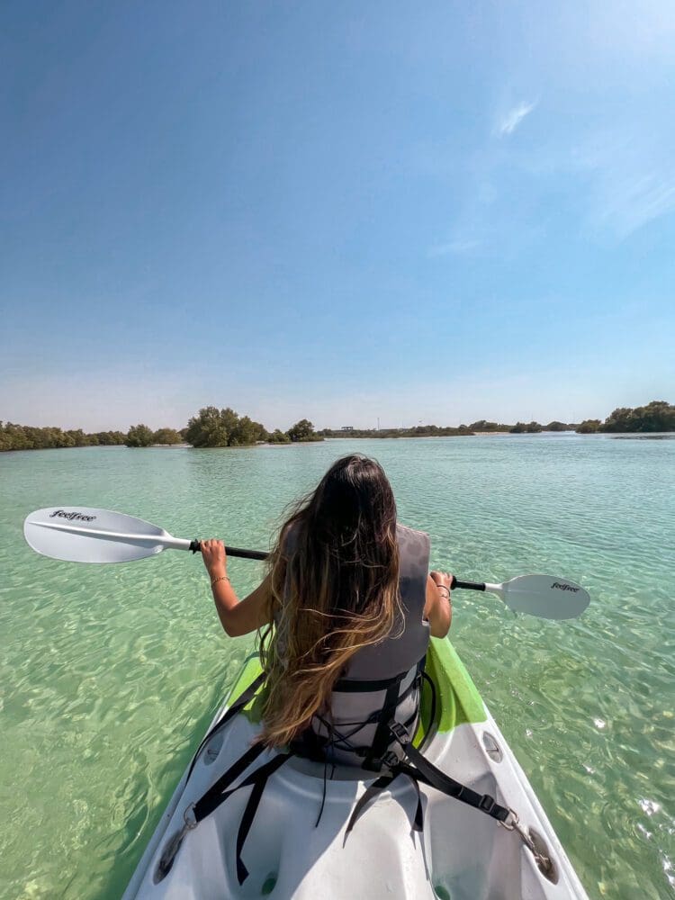 Jubail Mangrove Park Abu Dhabi UAE Travel Guide Things To Do