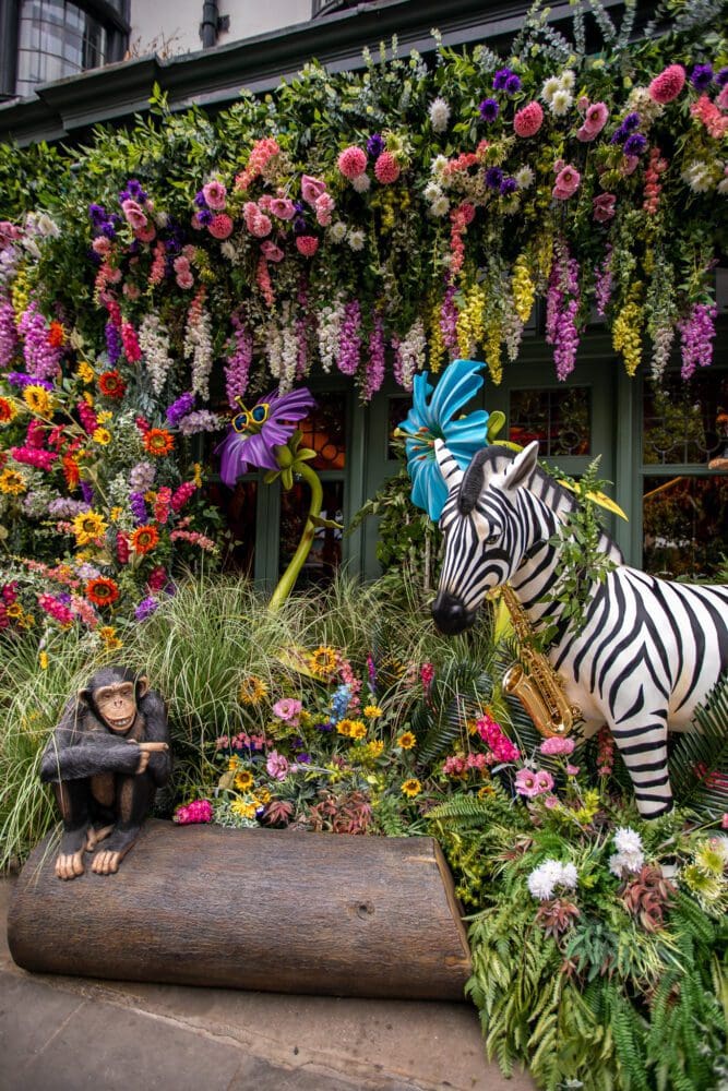 Chelsea in Bloom 2022 Floral Display The Ivy Chelsea Garden