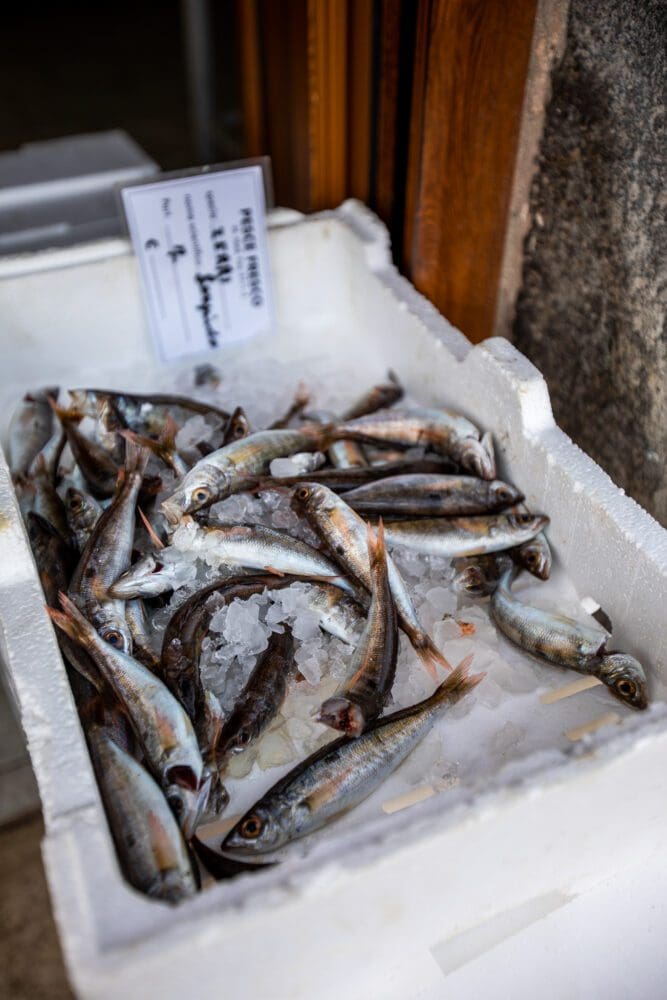 Fish Ponza Shipping Town Amalfi Cruise