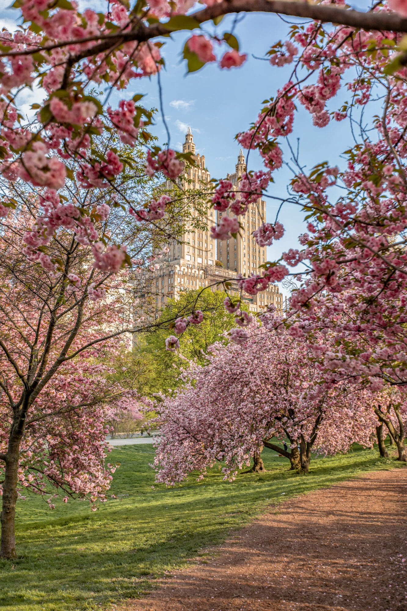 New York Central Park Things to do