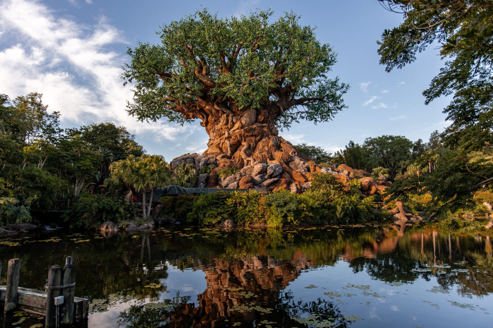 Animal Kingdom Walt Disney World Florida Theme Park Travel Guide Tree of Life