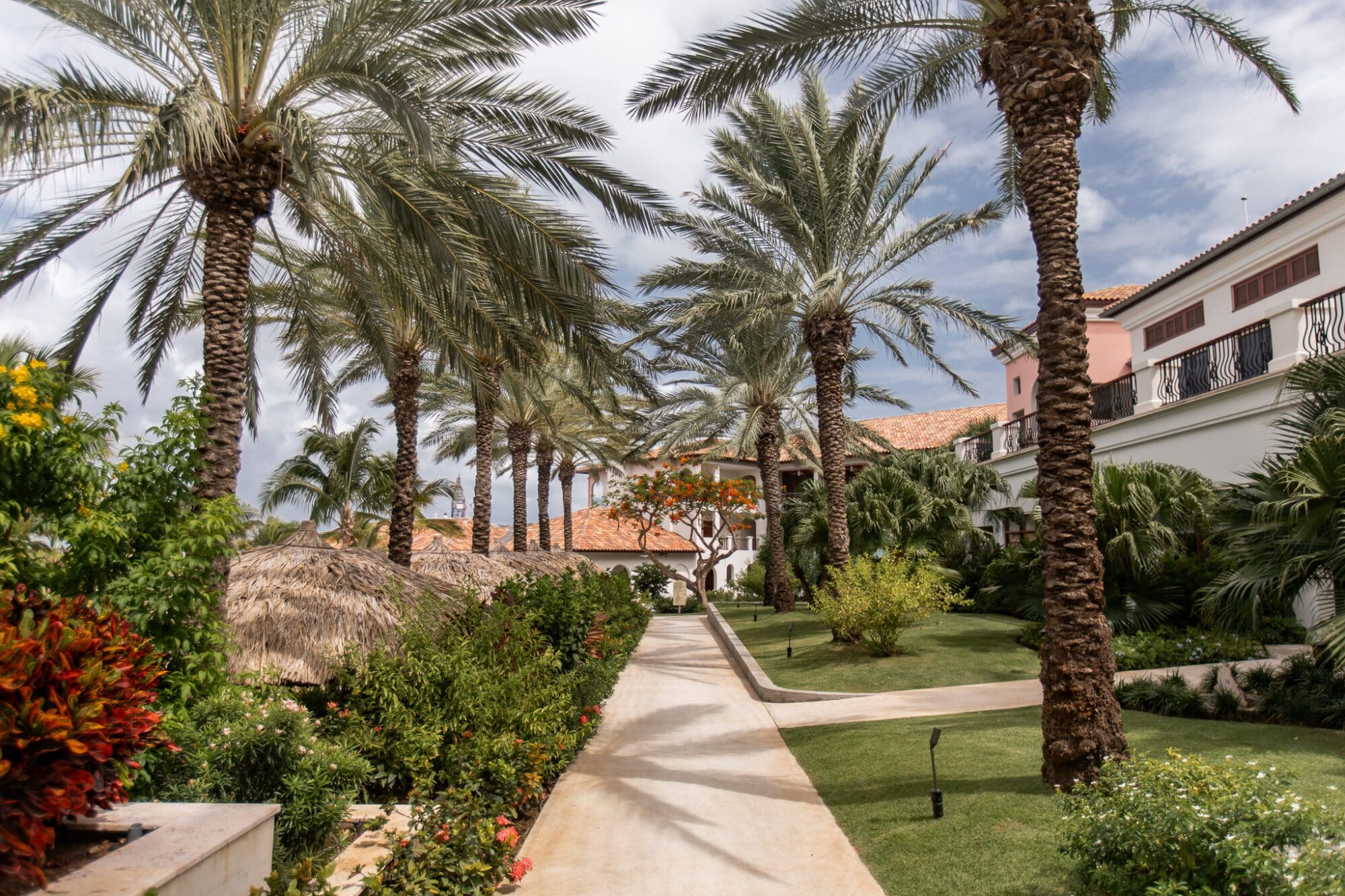 A palm tree lined pathway at Sandals Royal Curacao