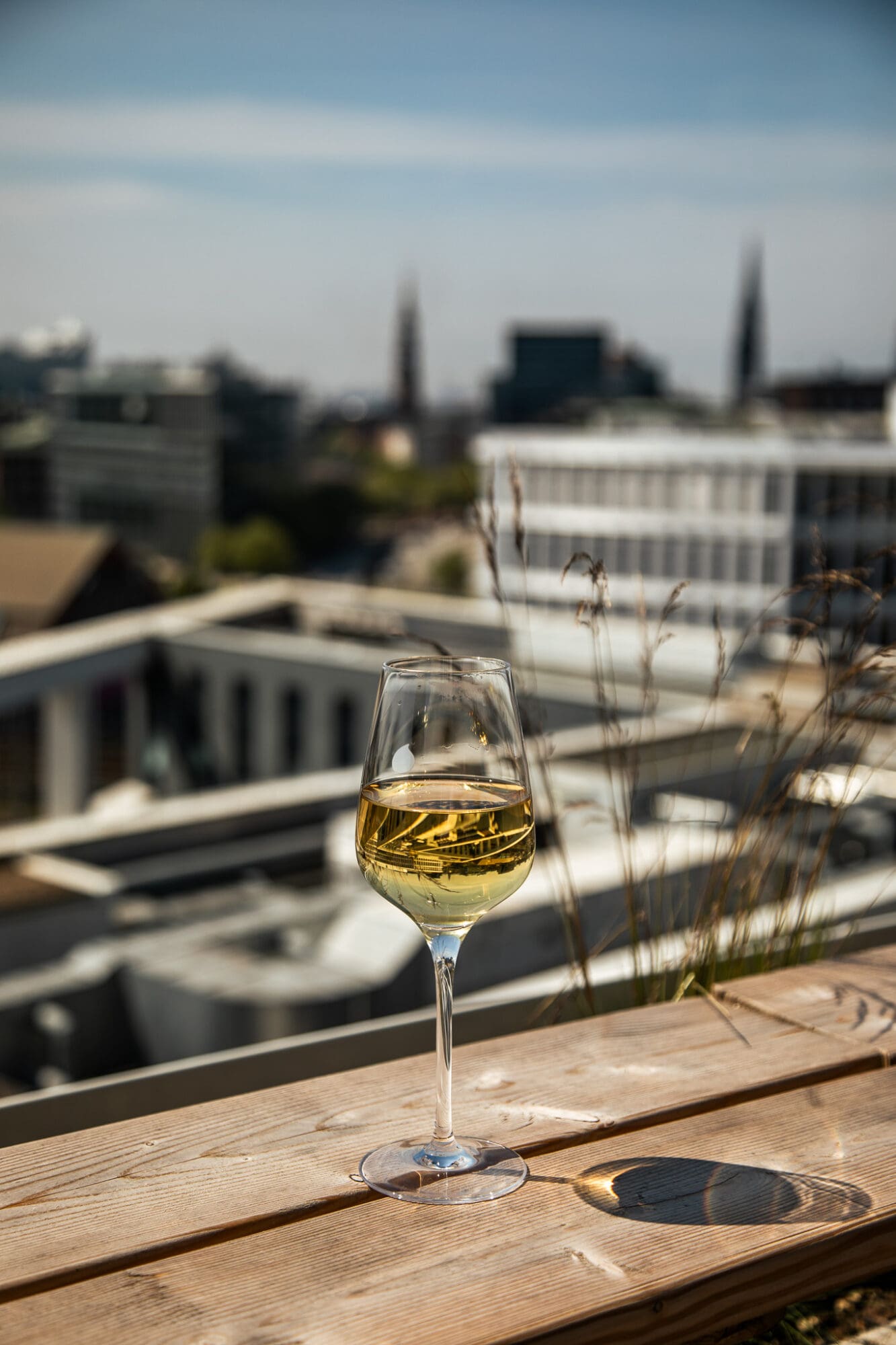 Villa Viva Hamburg Hotel Review - Rooftop Bar