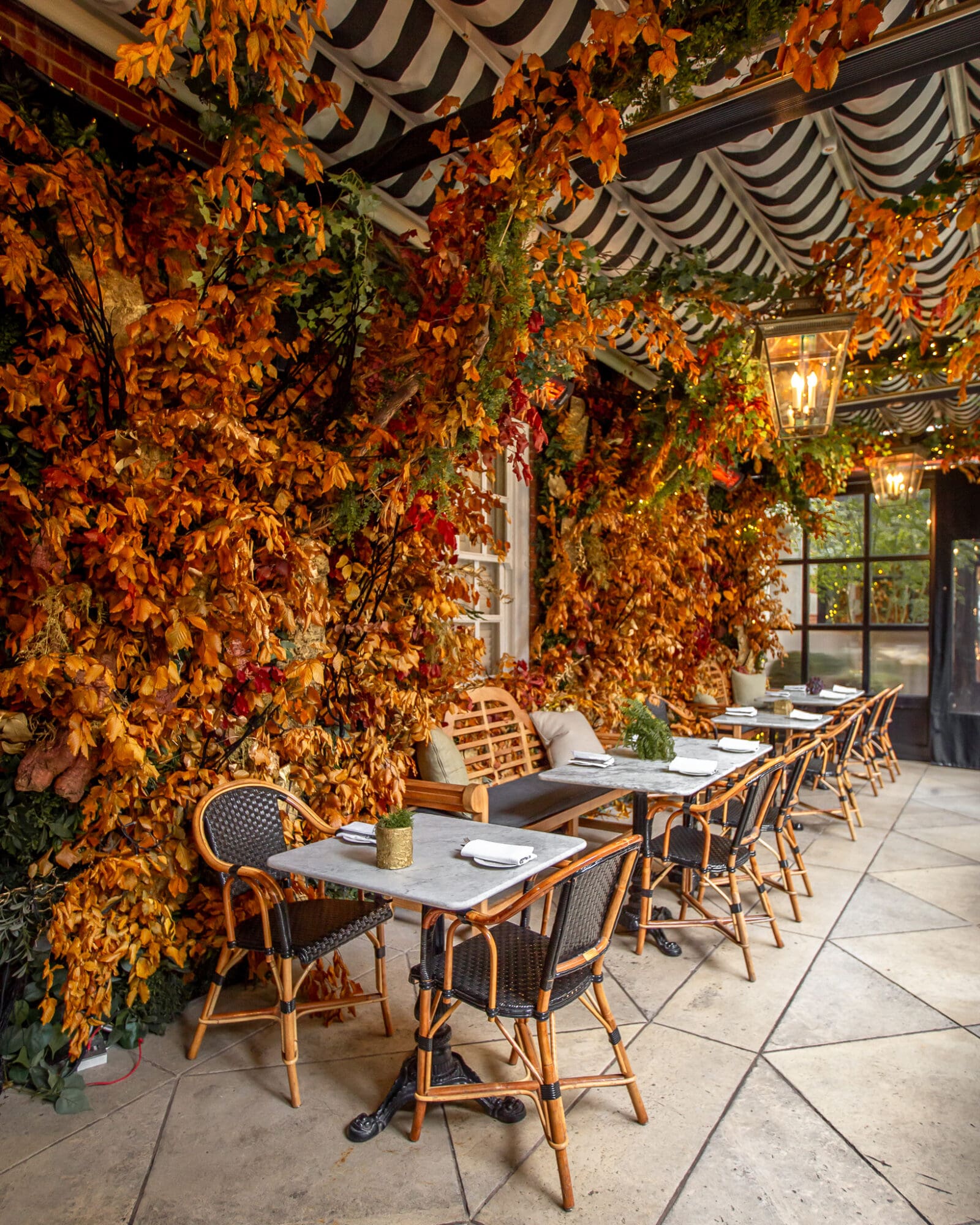 Dalloway Terrace Autumn restaurant London