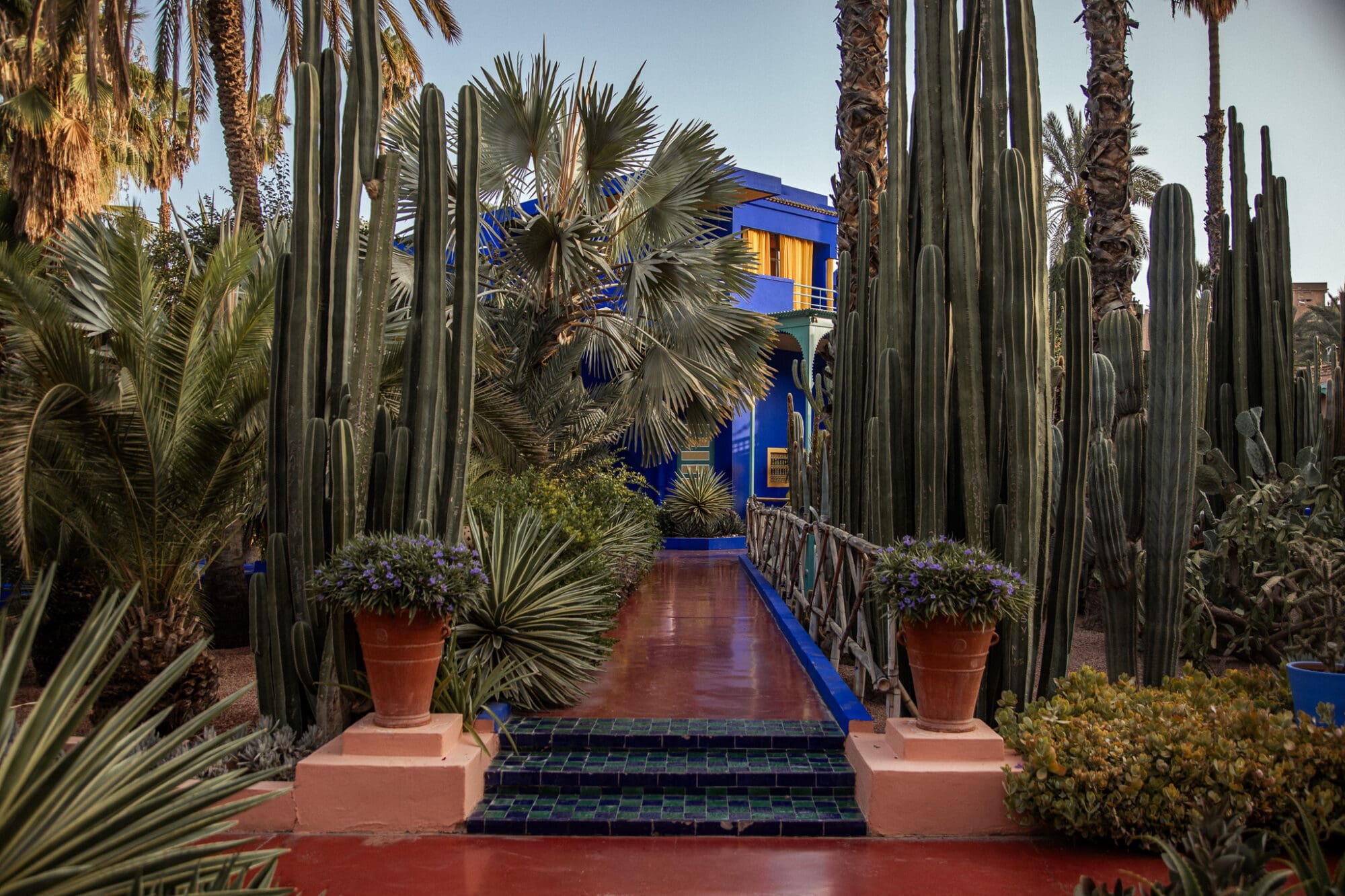 Jardin Majorelle Marrakech Things to do sightseeing Morocco