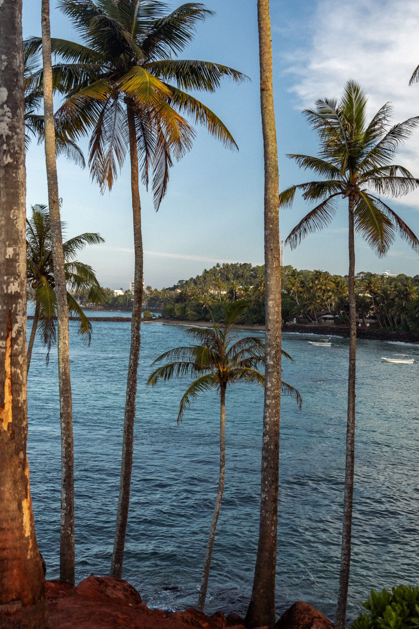 Coconut Tree Hill Mirissa Things to do Sri Lanka