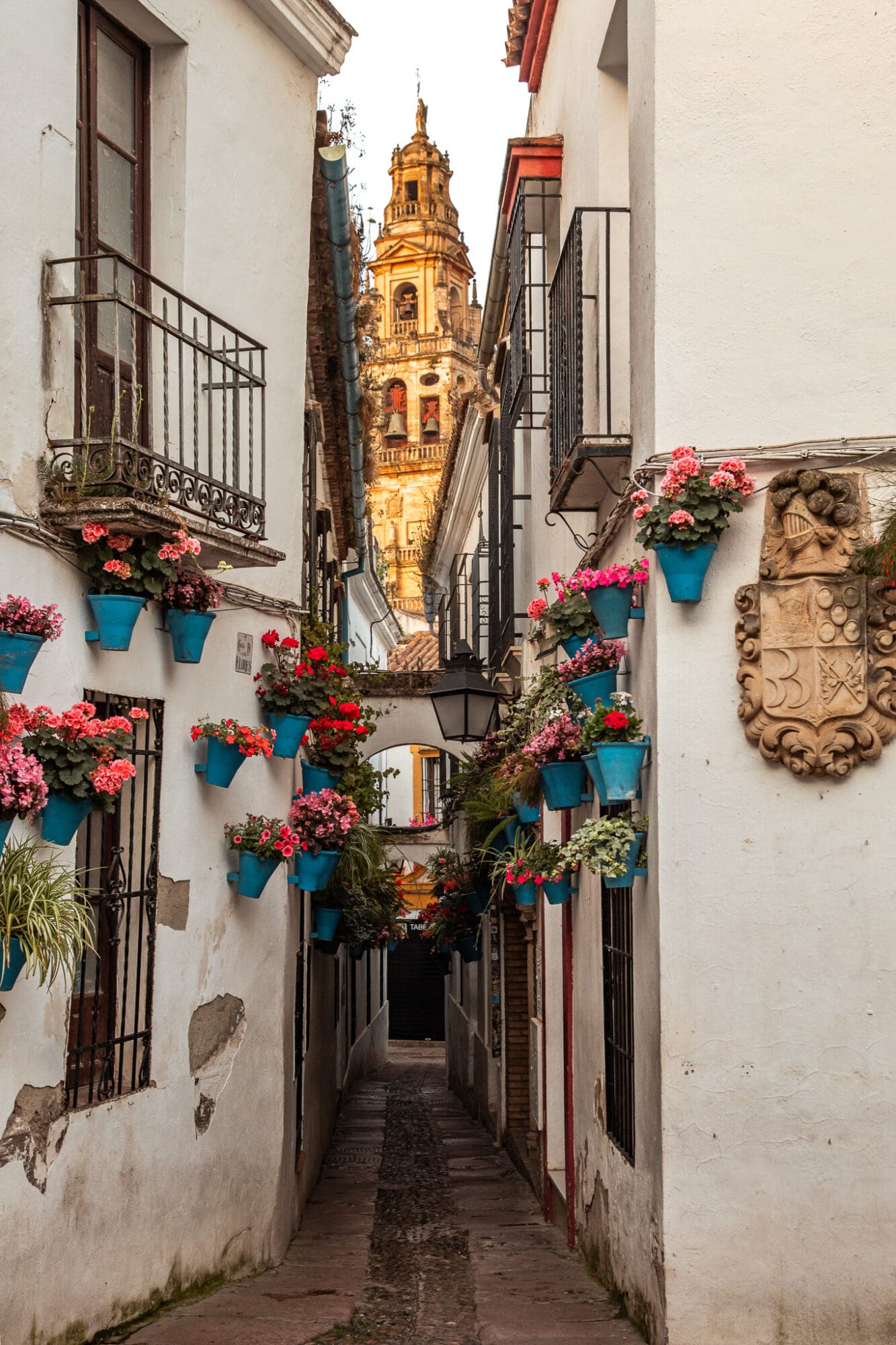 Cordoba Calleja de las Flores Mezquita View Andalucia