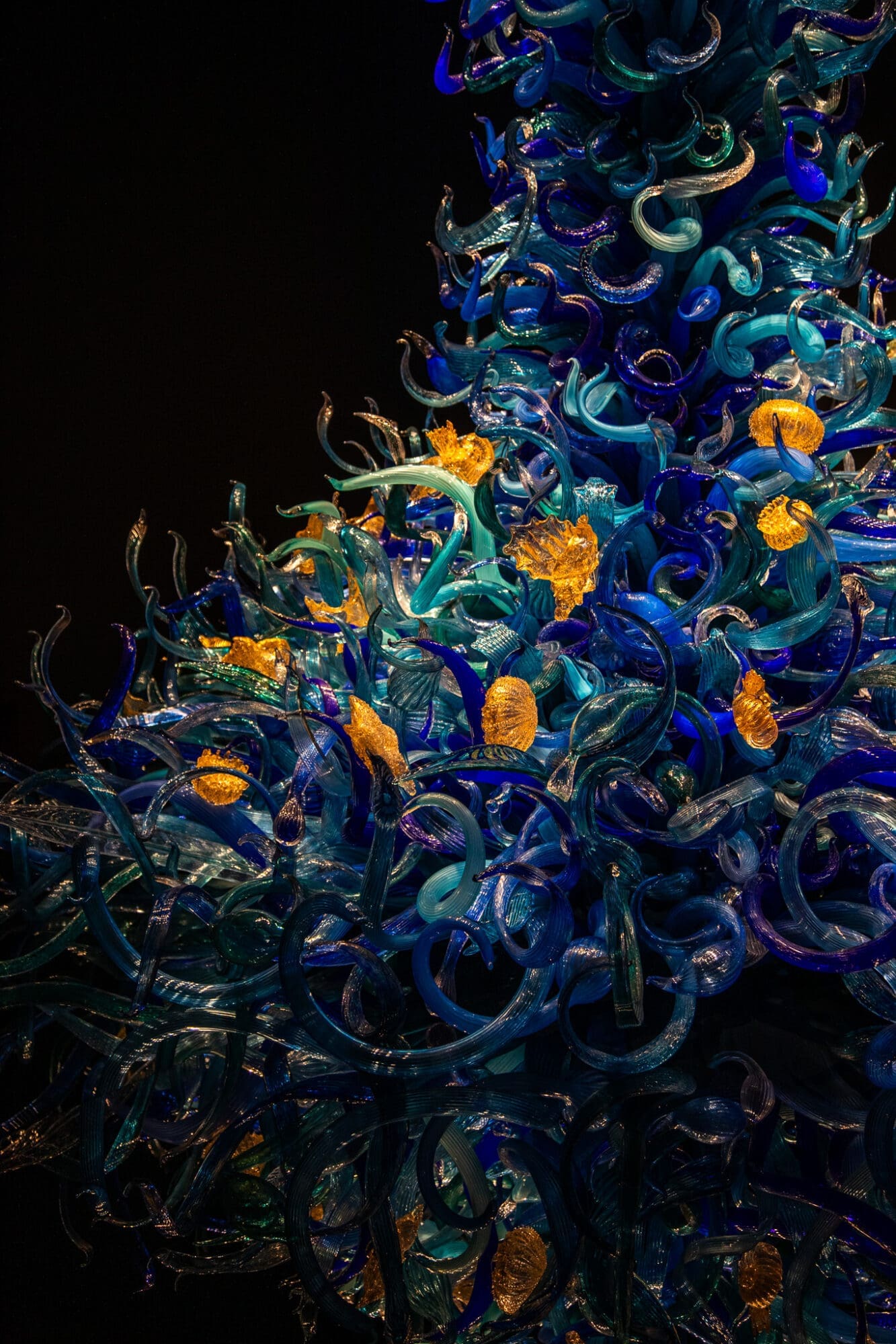 Chihuly Glass and Gardens Exhibit