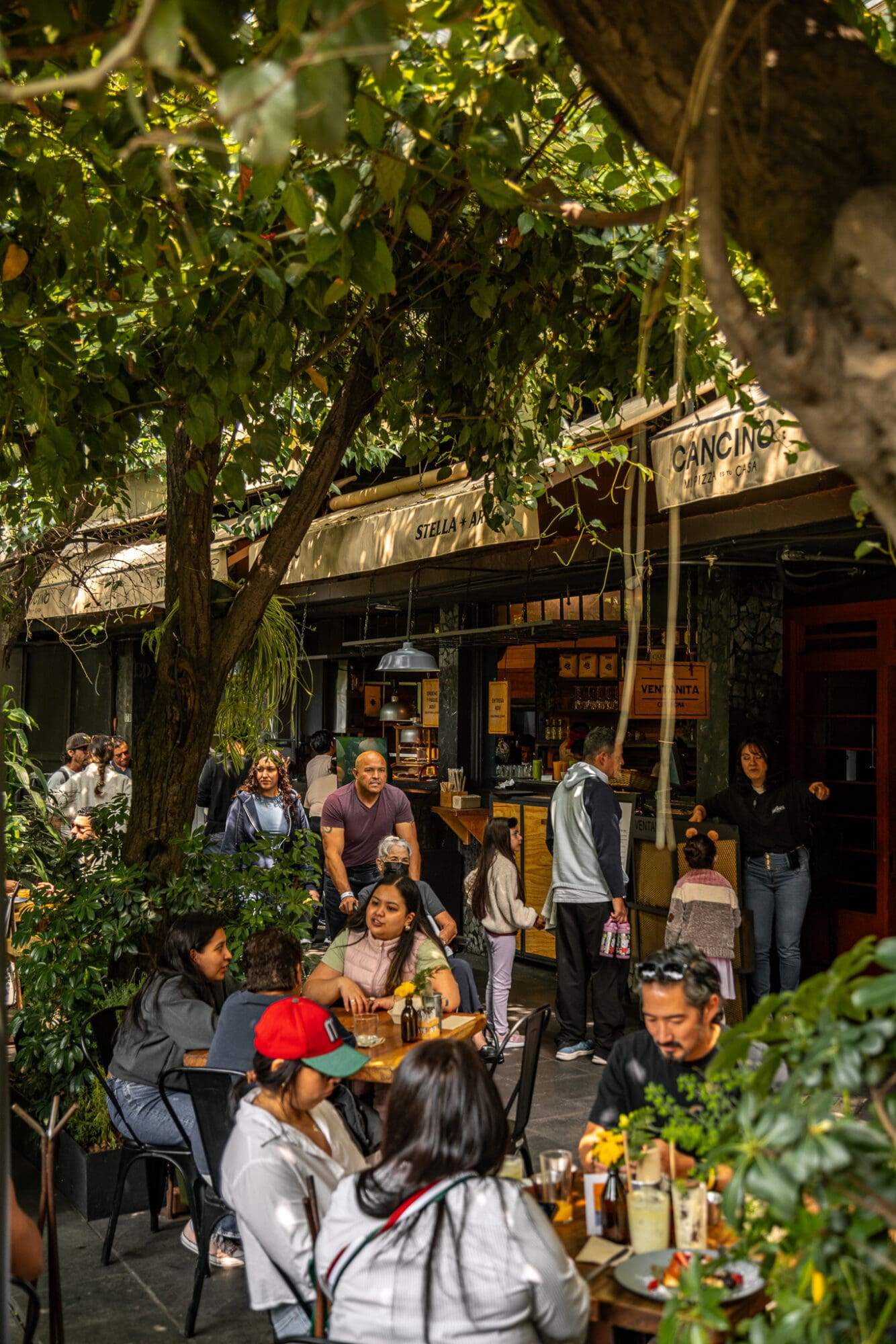 La Ventanita Cafe Mexico City Roma Norte Alfresco Breakfast Restaurant