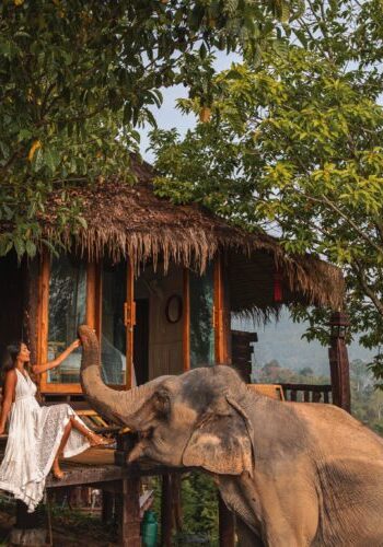 Chai Lai Orchid Elephant Camp Chiang Mai Thailand Ethical Hotel Uk Travel Review Mountains