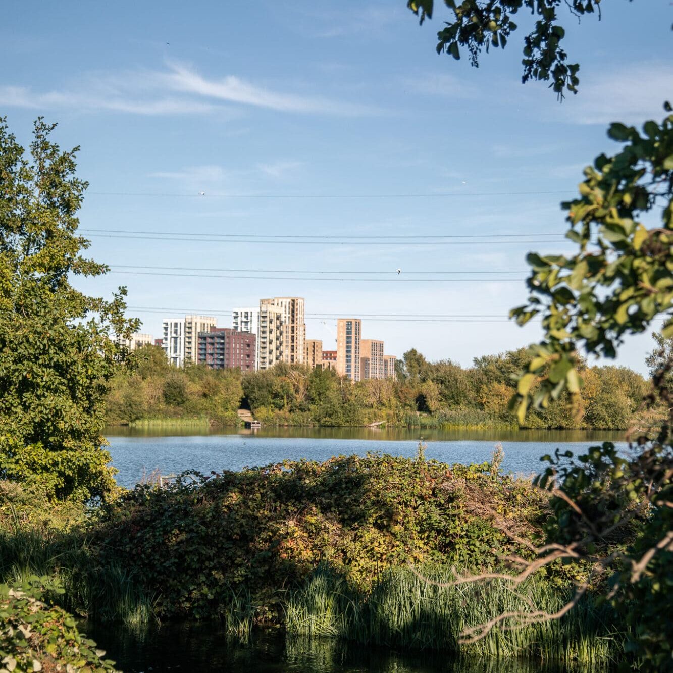 Things to do in Walthamstow Wetlands